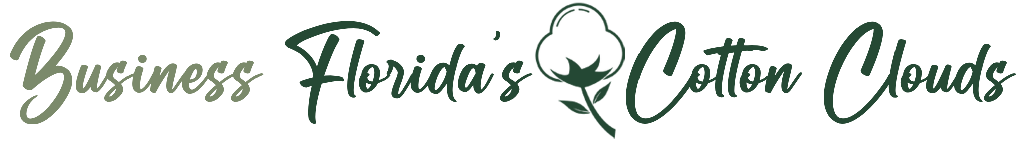 Business Florida's Cotton Clouds